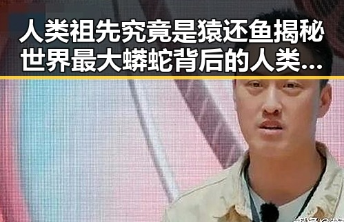 人类祖先究竟是猿还鱼揭秘世界最大蟒蛇背后的人类起源谜团