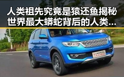 人类祖先究竟是猿还鱼揭秘世界最大蟒蛇背后的人类起源谜团