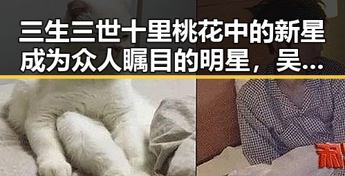 三生三世十里桃花中的新星成为众人瞩目的明星，吴昕不受恋情干扰与谢楠晒写真引发热议