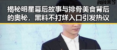 揭秘明星幕后故事与排骨美食背后的奥秘，黑料不打烊入口引发热议