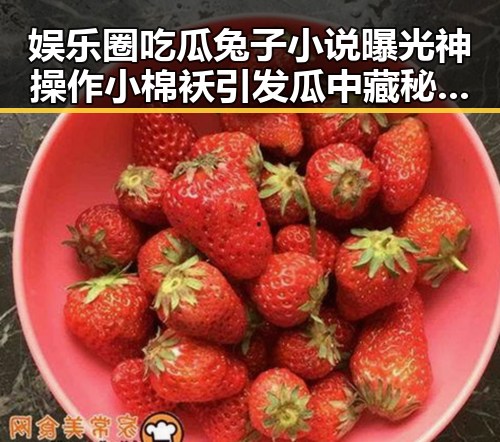 娱乐圈吃瓜兔子小说曝光神操作小棉袄引发瓜中藏秘话题