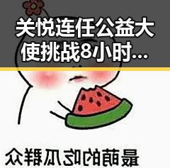 关悦连任公益大使挑战8小时引关注，揭示动物AV产业背后隐秘世界的复杂性